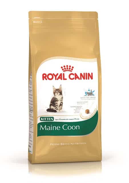 Makanan Kucing Royal Canin Maine Coon Kitten