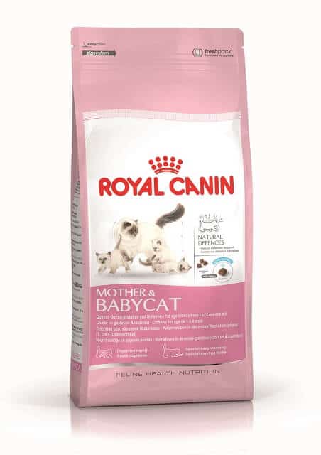 Royal canin british shorthair adult - Der Favorit unseres Teams