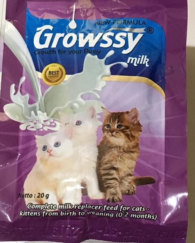 Susu untuk anak kucing