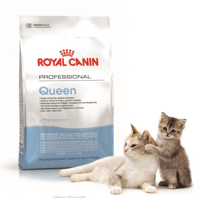 Royal Canin Pro Queen untuk indukan menyusui